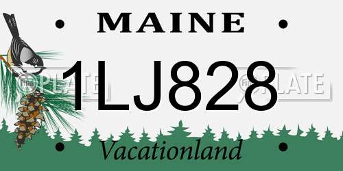 1LJ828 Maine License Plate