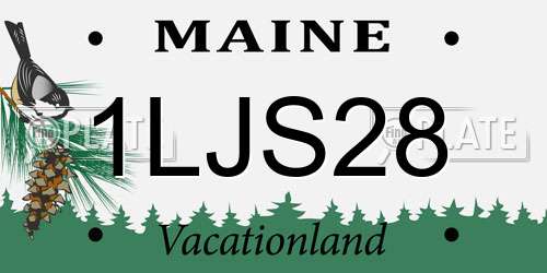 1LJS28 Maine License Plate