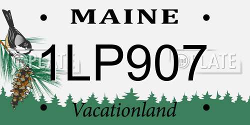 1LP907 Maine License Plate