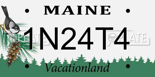 1N24T4 Maine License Plate