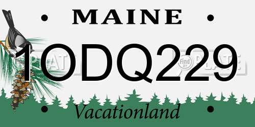 1ODQ229 Maine License Plate