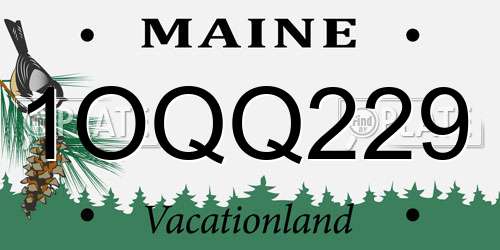 1OQQ229 Maine License Plate