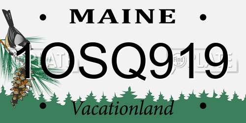 1OSQ919 Maine License Plate