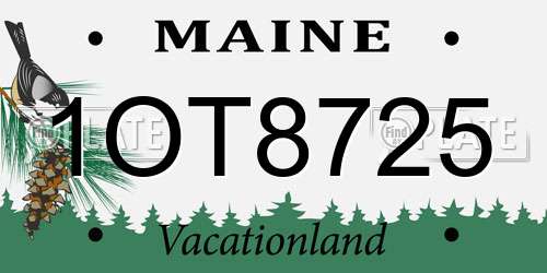 1OT8725 Maine License Plate