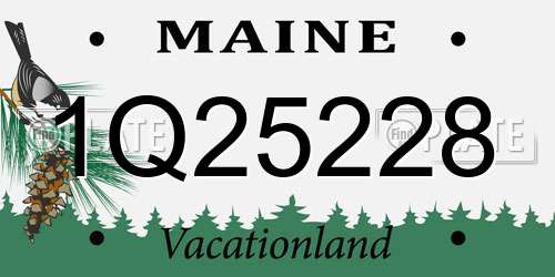 1Q25228 Maine License Plate