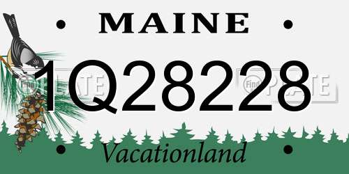 1Q28228 Maine License Plate