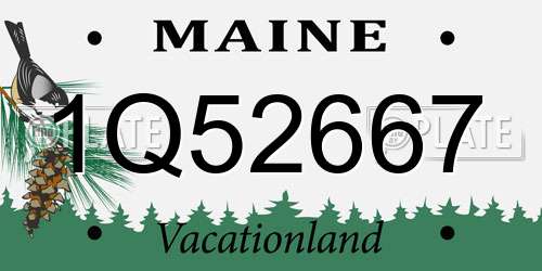 1Q52667 Maine License Plate