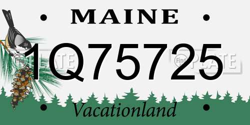 1Q75725 Maine License Plate