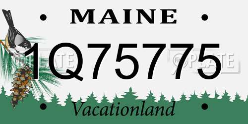 1Q75775 Maine License Plate
