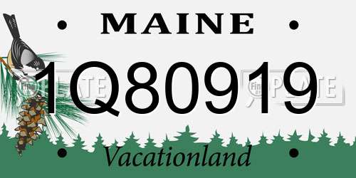 1Q80919 Maine License Plate