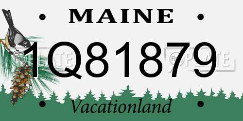 1Q81879 Maine License Plate