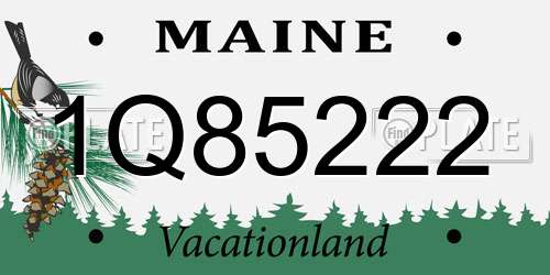 1Q85222 Maine License Plate