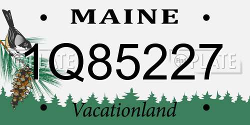 1Q85227 Maine License Plate