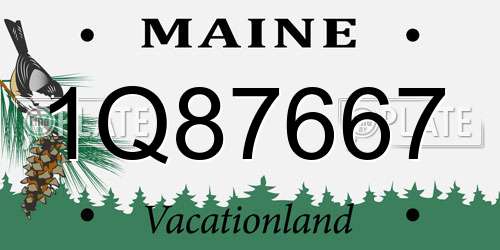 1Q87667 Maine License Plate