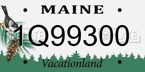 1Q99300 Maine License Plate