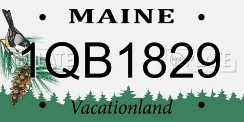 1QB1829 Maine License Plate