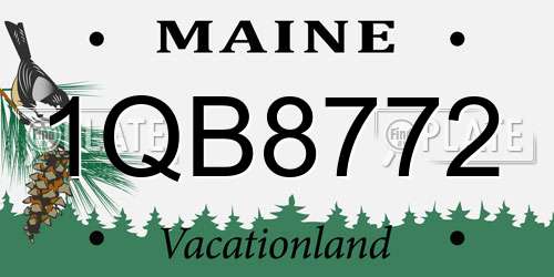 1QB8772 Maine License Plate