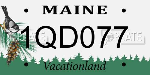 1QD077 Maine License Plate