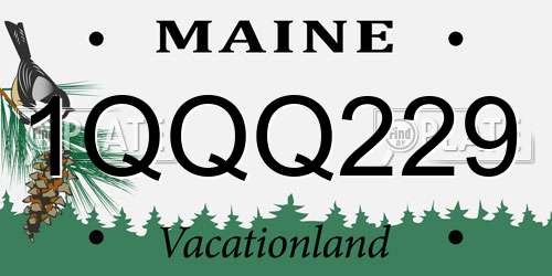 1QQQ229 Maine License Plate