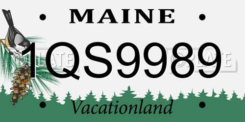 1QS9989 Maine License Plate