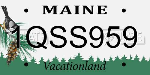 1QSS959 Maine License Plate