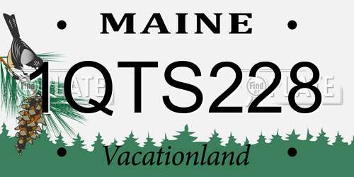 1QTS228 Maine License Plate