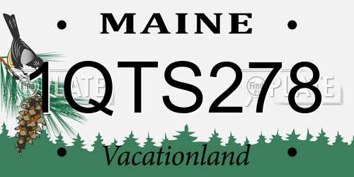 1QTS278 Maine License Plate