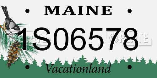 1S06578 Maine License Plate