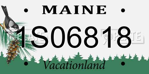 1S06818 Maine License Plate
