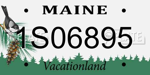 1S06895 Maine License Plate