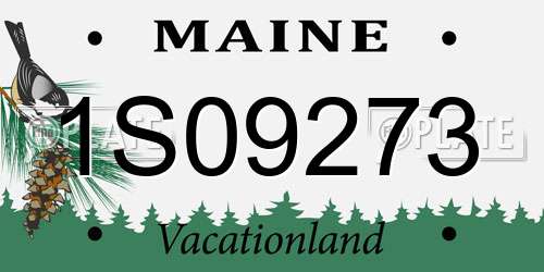 1S09273 Maine License Plate