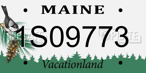 1S09773 Maine License Plate
