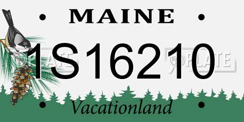 1S16210 Maine License Plate