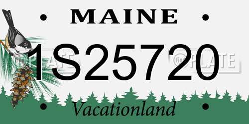 1S25720 Maine License Plate