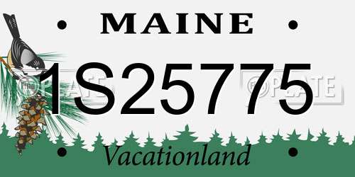 1S25775 Maine License Plate