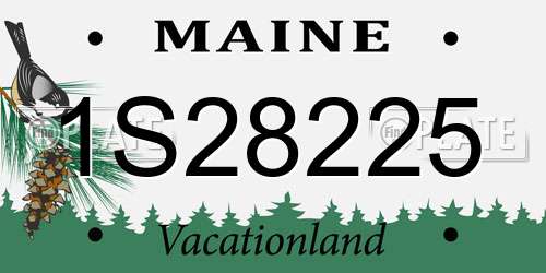 1S28225 Maine License Plate