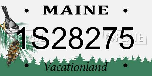 1S28275 Maine License Plate
