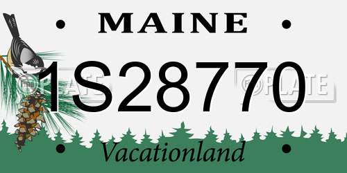 1S28770 Maine License Plate