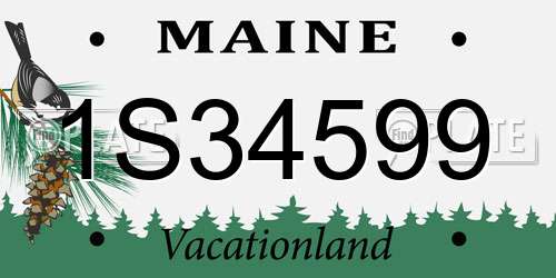 1S34599 Maine License Plate