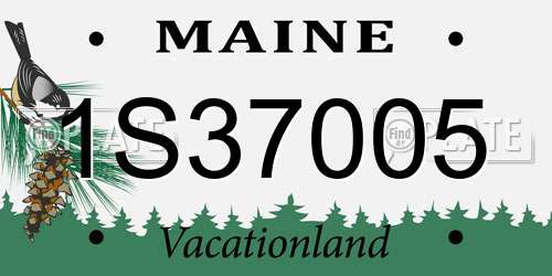 1S37005 Maine License Plate