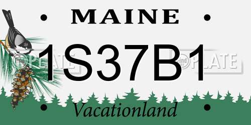 1S37B1 Maine License Plate