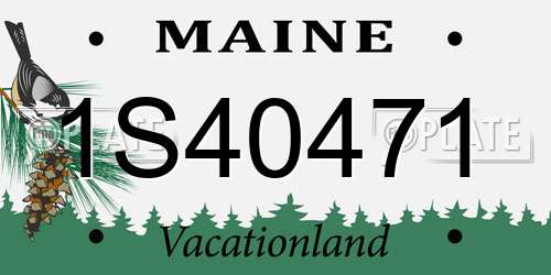 1S40471 Maine License Plate