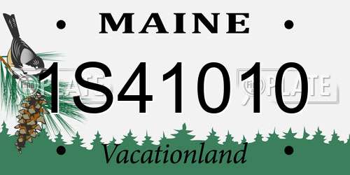 1S41010 Maine License Plate