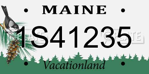1S41235 Maine License Plate