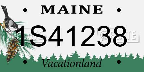 1S41238 Maine License Plate