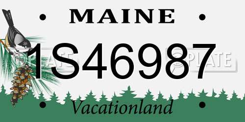 1S46987 Maine License Plate