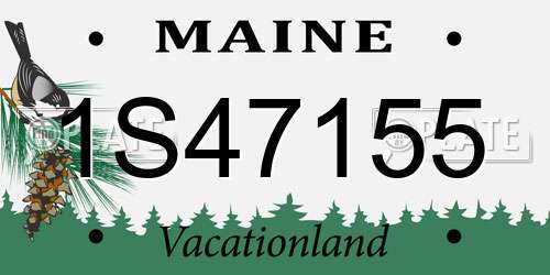 1S47155 Maine License Plate