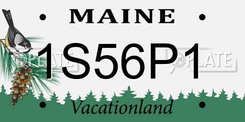 1S56P1 Maine License Plate