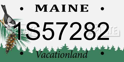 1S57282 Maine License Plate
