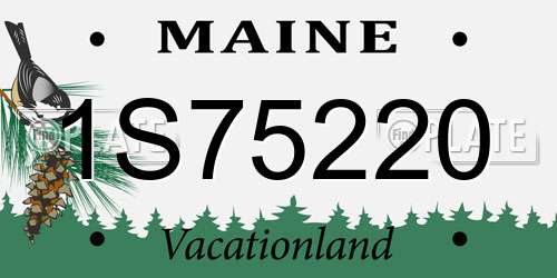 1S75220 Maine License Plate